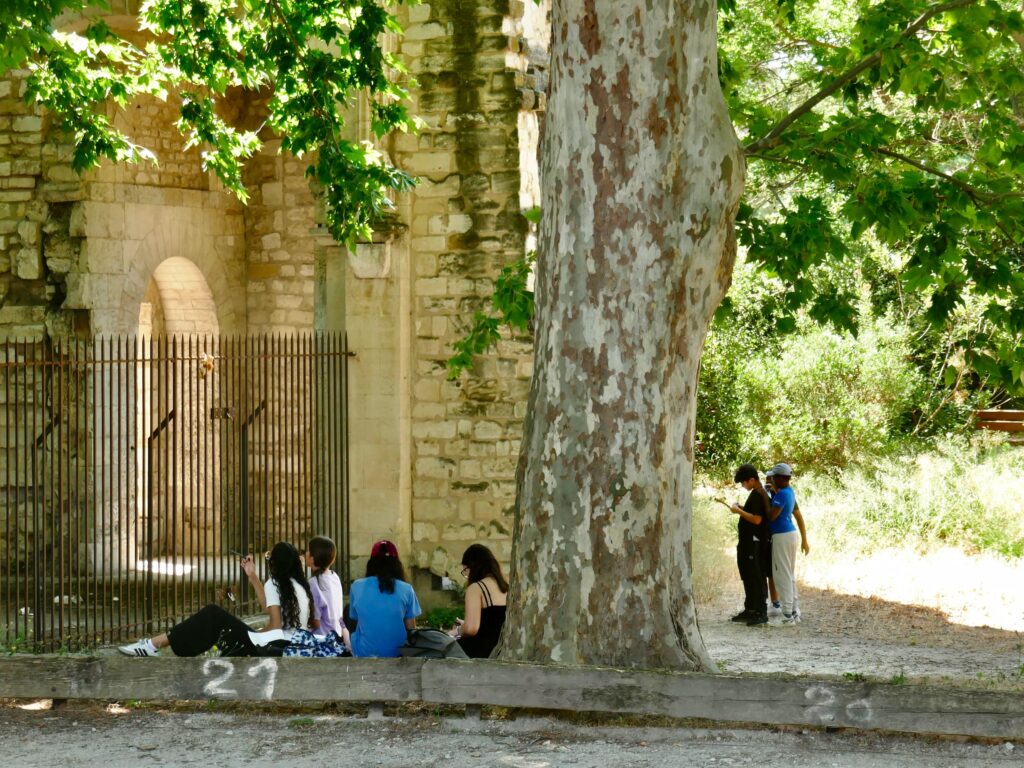 Parcours Curiosités et Beauté de Volubilis dans le parc de l'Abbaye à Avignon